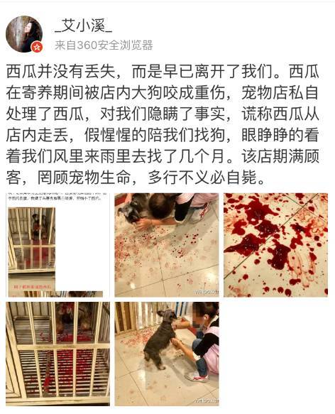 狗在寄养基地会被咬死吗,狗狗寄养宠物店被饿死