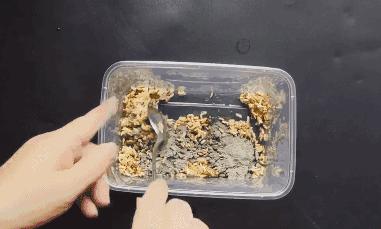 家里有老鼠怎么办快速灭鼠的方法,自制灭老鼠最有效又简单的方法