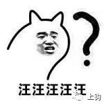 海钓真实故事大全,海钓的故事视频