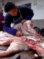 舌尖上的文县美食,舌尖上的陇西特色美食