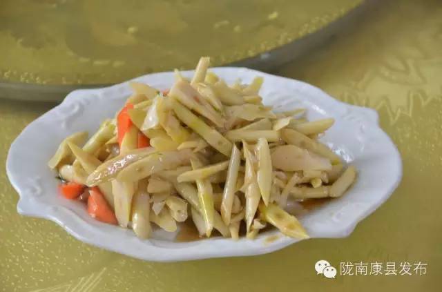 「相约康县」山水间歌声回荡，烟波里久违的故乡