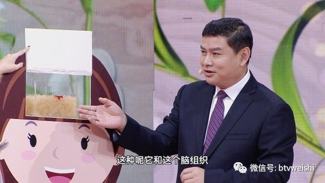 养生堂揭秘大脑的神秘物质,养生堂最新视频