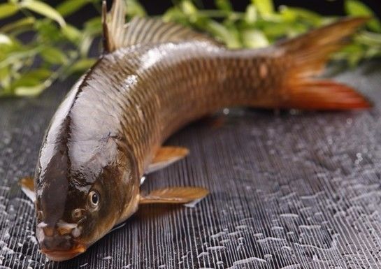 山东省淄博这个地方怎样,淄博第一个地级市