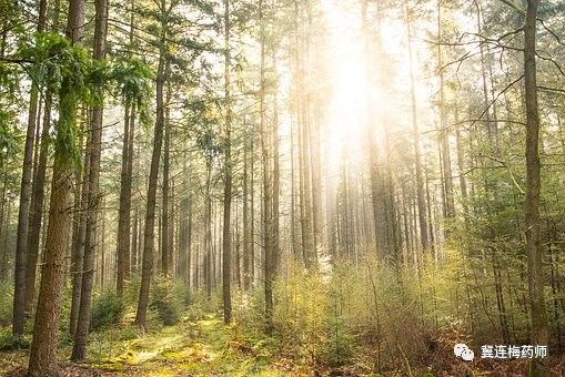 四岁孩子补充维生素d还是维生素ad,20个月的宝宝每天补充多少维生素d