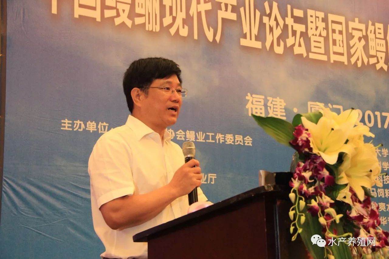 一半以上鳗鱼靠出口，被誉为“水产领域研究最后的一个大金矿”，繁华背后却有隐患