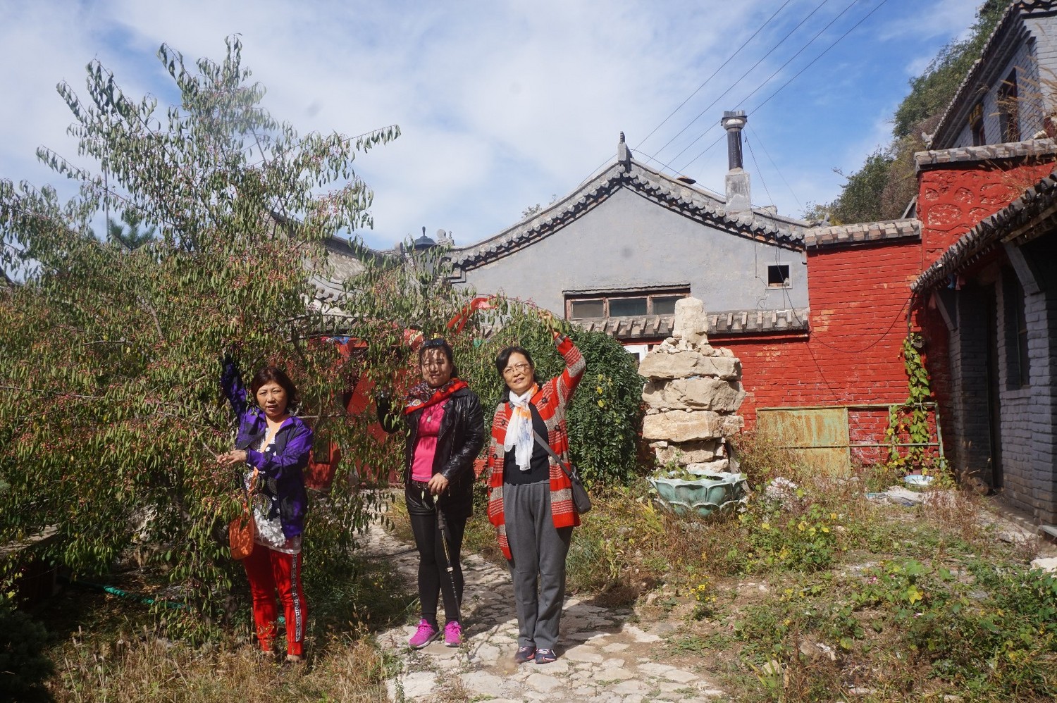 京西第一孤峰,鸡鸣山孤峰独秀