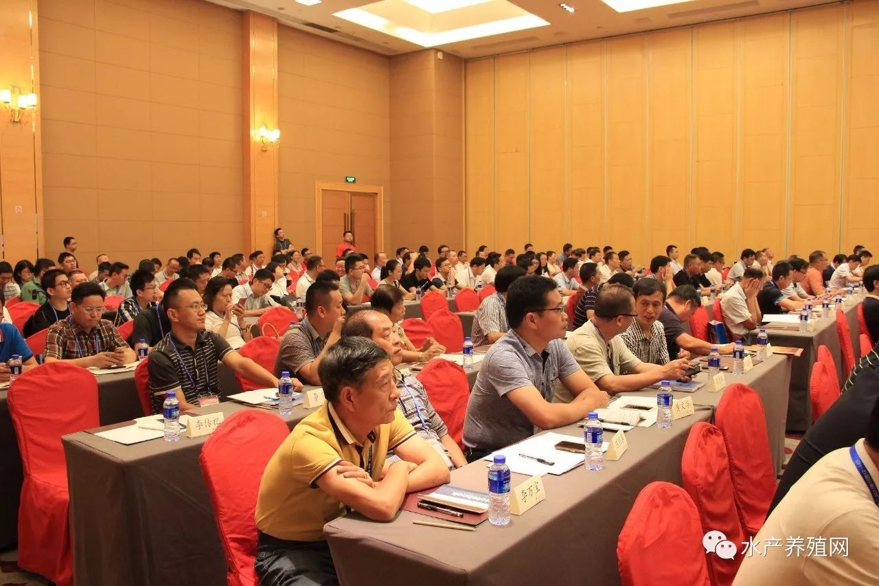 一半以上鳗鱼靠出口，被誉为“水产领域研究最后的一个大金矿”，繁华背后却有隐患