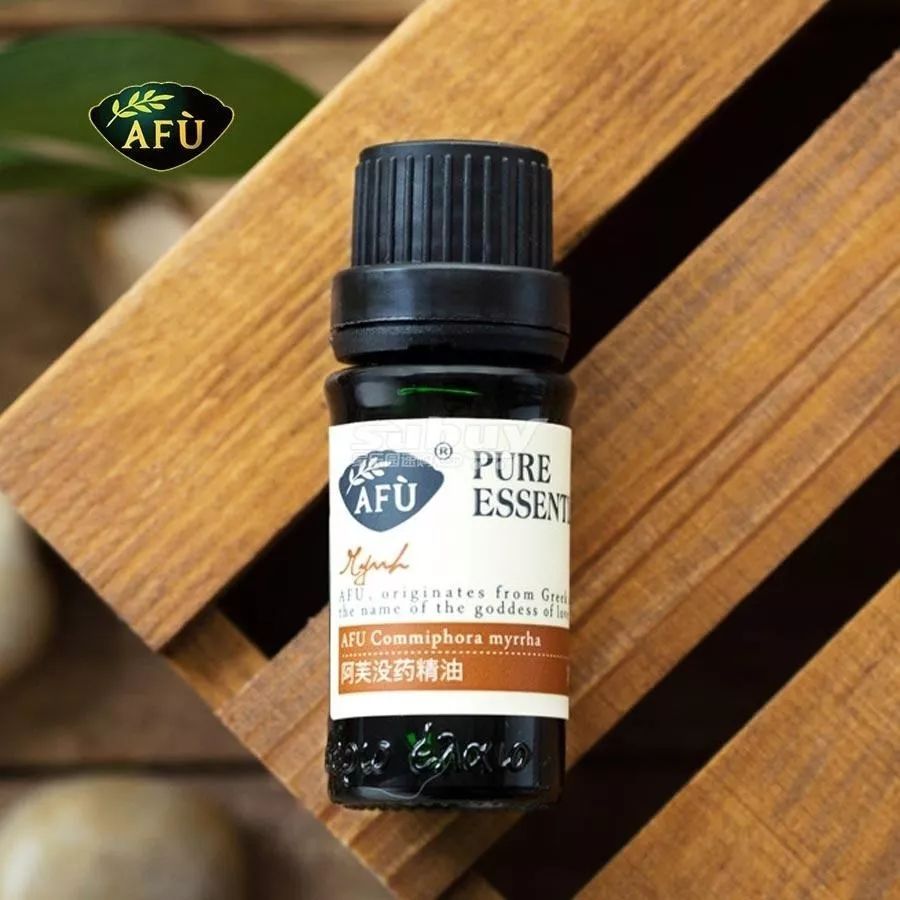 瀹犵矇鐙傞瓟涓婄嚎,瀹犵矇鐙傞瓟鏂版涓婃柊