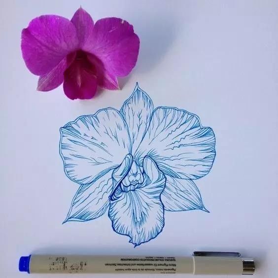 绘画基础入门教程上色,绘画六种基础涂色方法