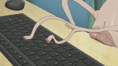 网络实名制来了,黑子水军营销号们的末日到了