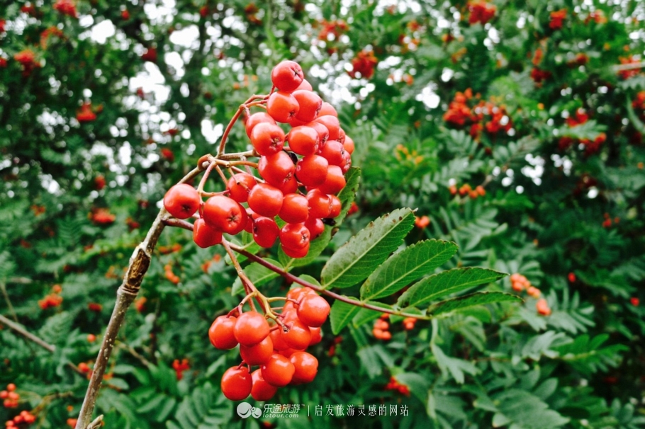 天空岛的秘密任务,天空岛苏格兰高地的极致风光