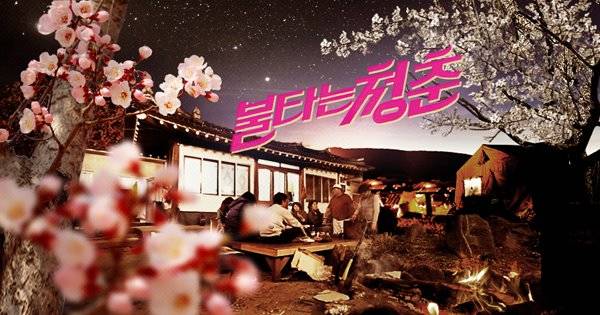 除了《我结》，还有哪些狗粮吃到撑的良心恋爱真人秀？