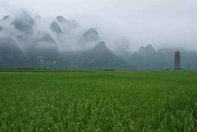 果园免费试吃大全,2019果园免费试吃