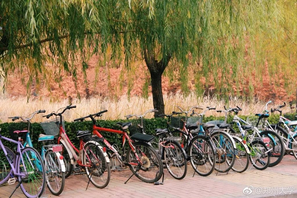 郑州冬日攻略,郑州夏天必做的十件事
