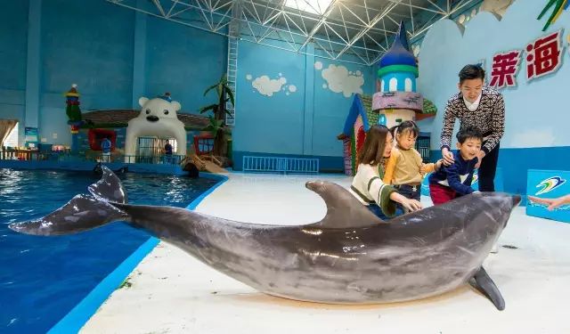 蓬莱都有哪些神仙,蓬莱神仙最多的地方