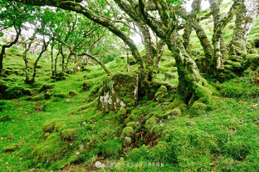 天空岛的秘密任务,天空岛苏格兰高地的极致风光