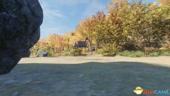 猎人野性的呼唤部分野兽打猎技巧分享