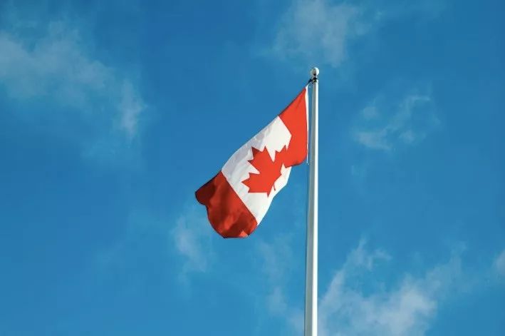 加拿大冰球最新消息,加拿大为什么会那么热