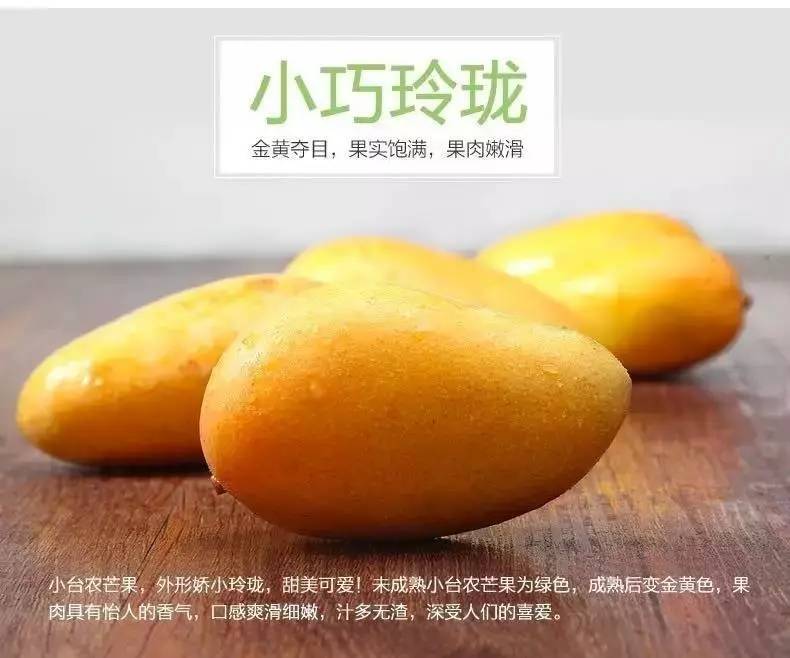 果园免费试吃,果园免费试吃大全