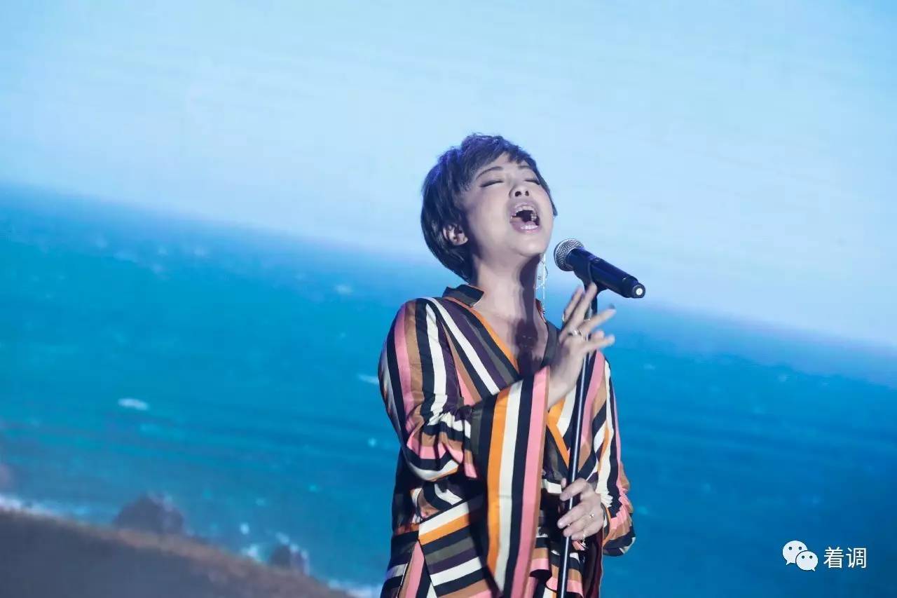 崔健我是歌手总决赛介绍,崔健我是歌手