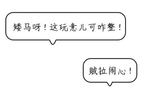 沈阳话正宗咋说,最正宗的沈阳话