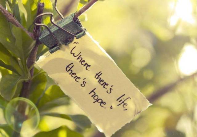 带泵用户关心的那些小事