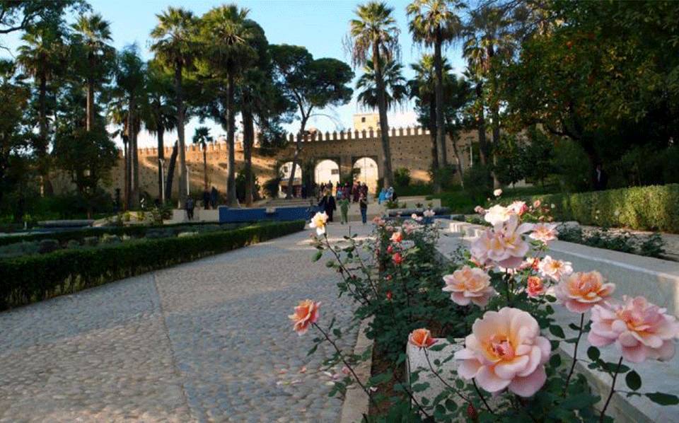 36小时之菲斯：年轻创意人也喜欢这个拥有世界上最古老大学的城市