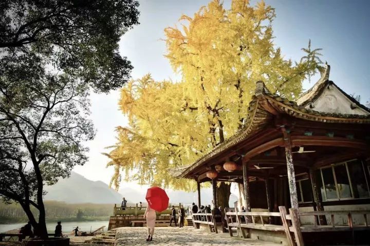 这是一份打开“楠溪江之秋”调色板的攻略！请收下！