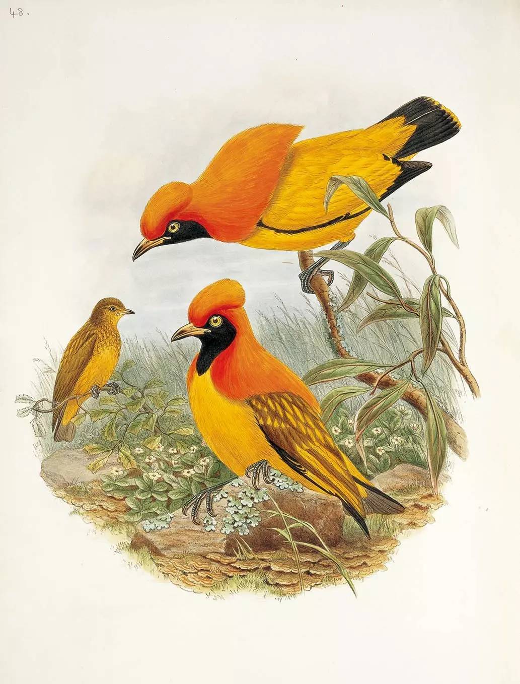 书籍人类的营养品莎士比亚,莎士比亚曾说书籍是人类的营养品