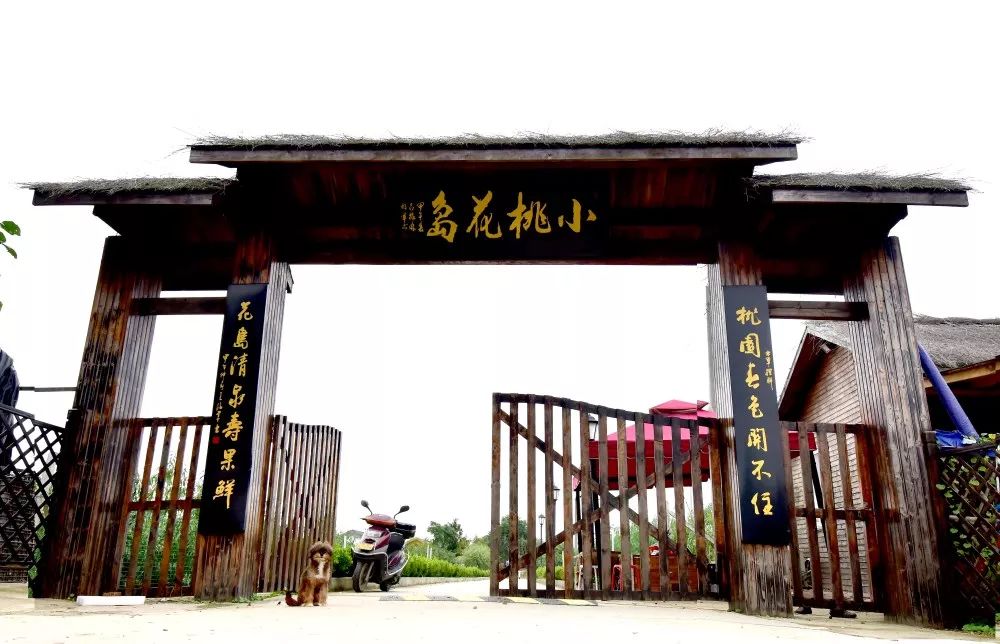 十月采摘水果,红提采摘节