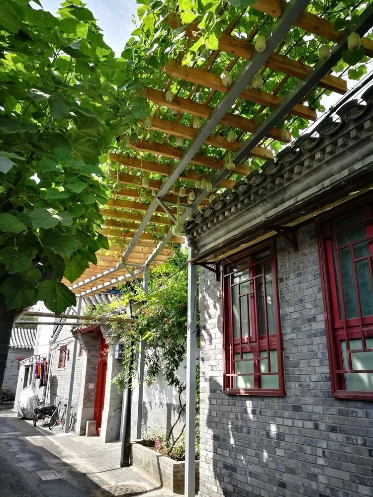 百花深处笛子版,百花深处