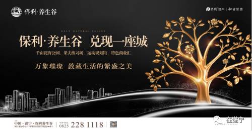 和光*眠同**，珍藏万象，保利养生谷新产品震撼登场