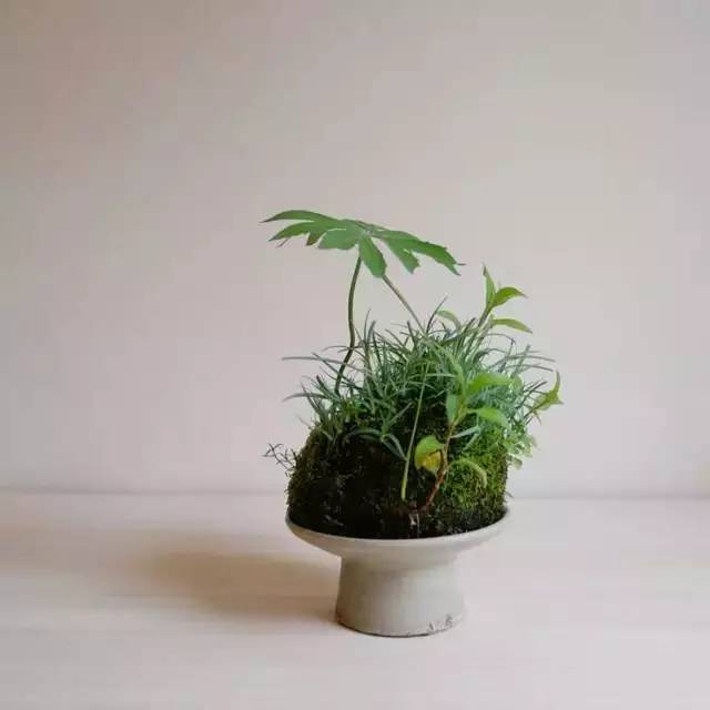 一花一世界一草一天堂一叶一菩提,一花一世界一草一天堂歌曲