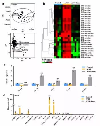 胆汁淤积性肝病治疗专家共识pdf,胆汁淤积性肝病治疗