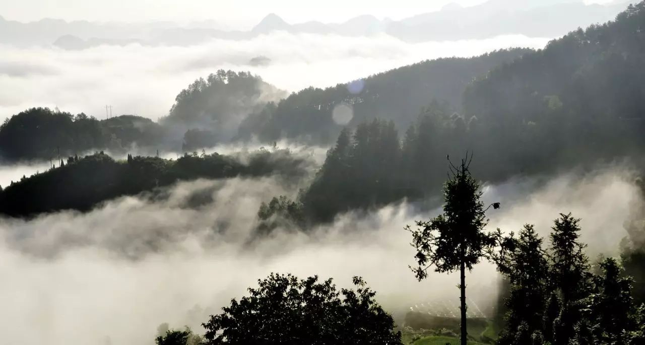 贵阳爬山看风景,贵阳有座望日坡登高赏秋好去处