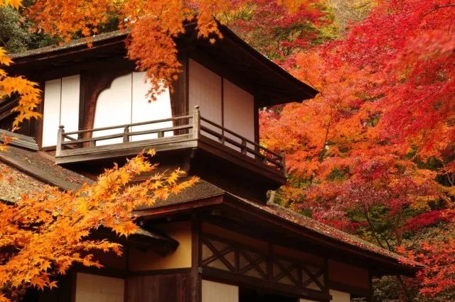 横滨三溪园值得去吗,三溪园景点