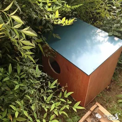 2017温暖继续！感谢CATS慈善基金连续五年为流浪猫提供温暖冬屋！