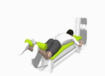 怎么练又细又有力的肌肉腿,腿部肌肉力量训练方法视频教程