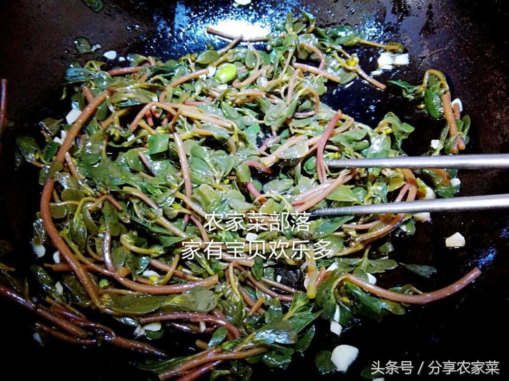 凉拌马齿苋饼,凉拌马齿苋的做法