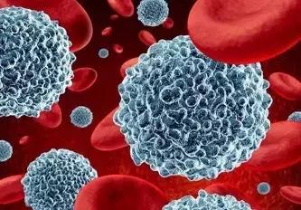 医学科普：什么是皮肤白血病？