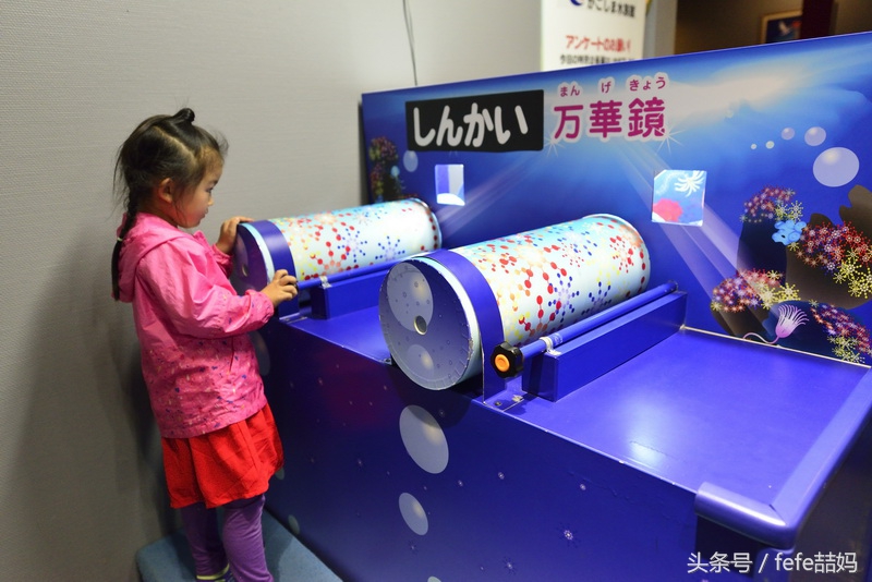 丽星邮轮日本游攻略视频,丽星邮轮厦门启程日本旅游