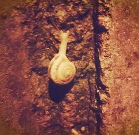 回忆过去1997,回忆1997的那个夏天