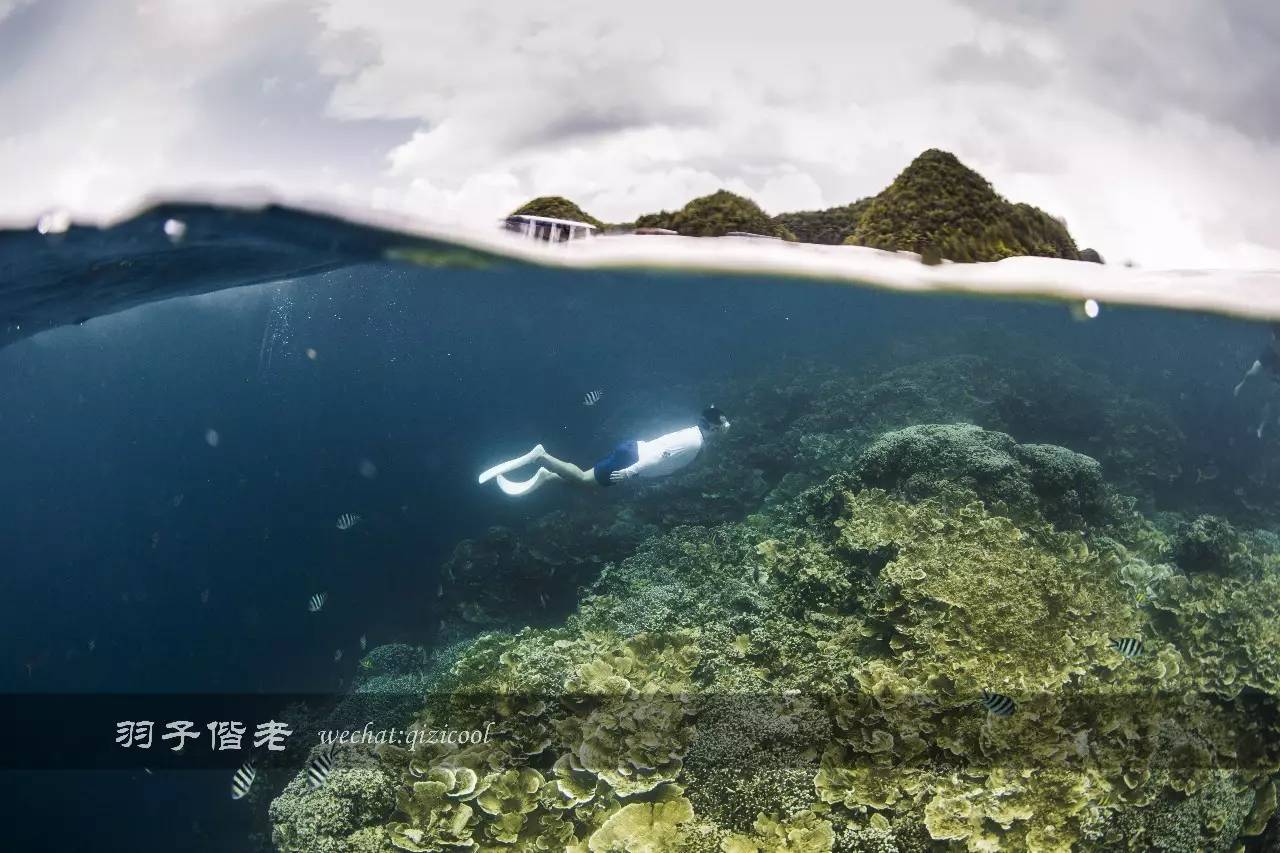 帕劳旅游发展的前景,去帕劳注意事项和必备品