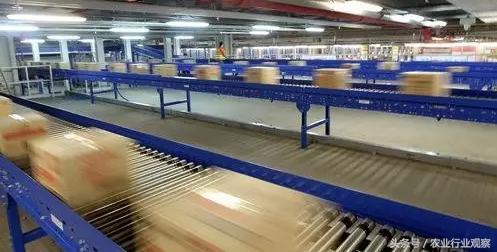 刘强东说农村电商,马云刘强东时期的企业家