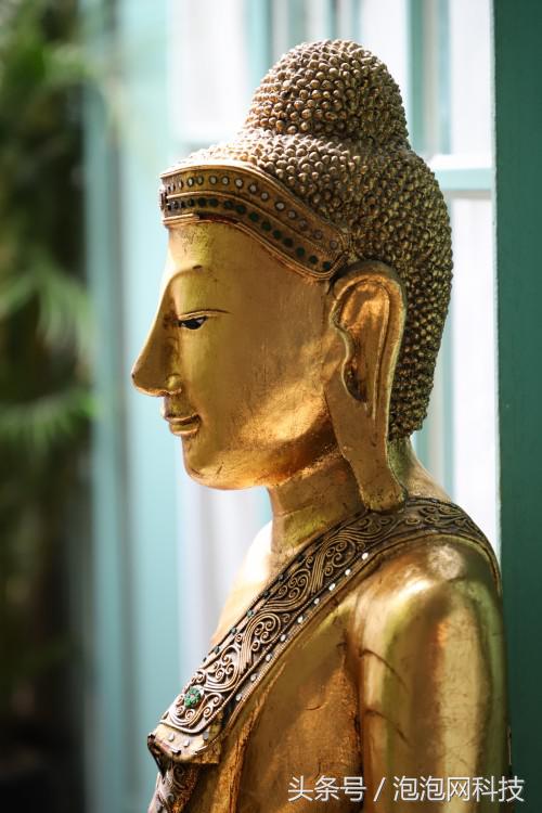 佳能6dmark2的标准参数,入门全画幅佳能6d