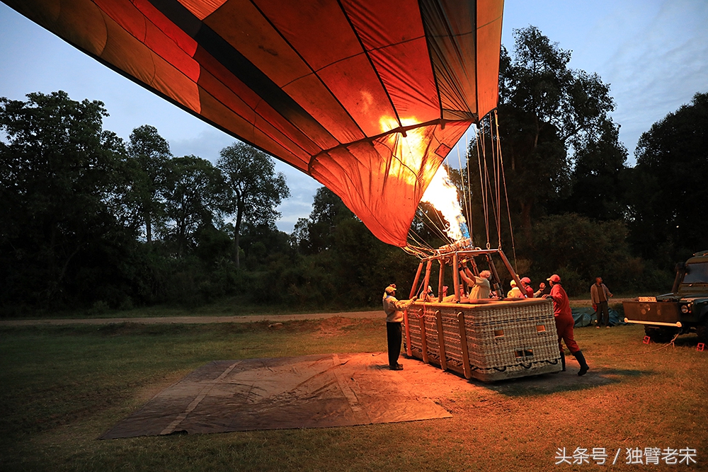 肯尼亚动物大迁徙旅游,肯尼亚迁徙之旅