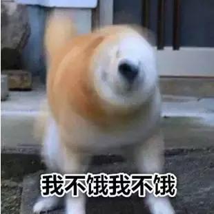 全球狗的数量约多少只,全球仅有18只的狗