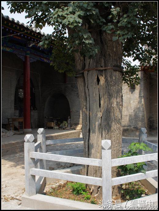 行走在乡上的路上,行走在田野乡间