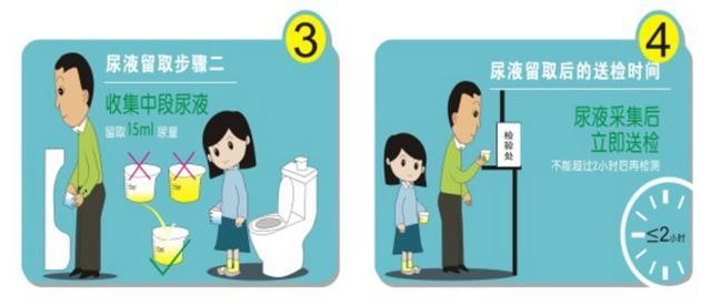 尿检指标科学解读！