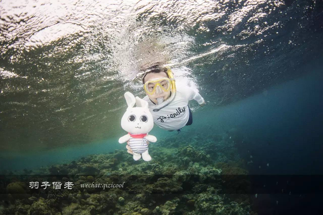 帕劳旅行真实感受,三次帕劳是一种什么体验